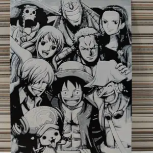 Hueforge Luffy and his friends