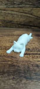 cat flexi