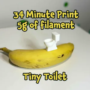 Tiny Toilet