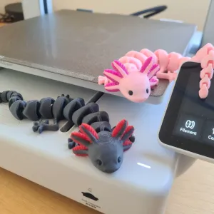 Articulated Axolotl (Multicolor)