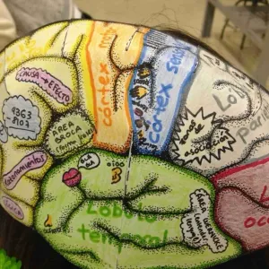 brain hat
