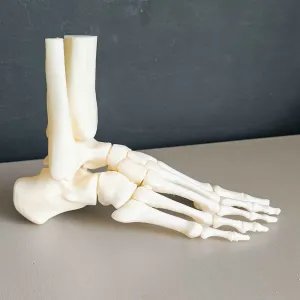 Pé anatomico lado direito RIGIDO