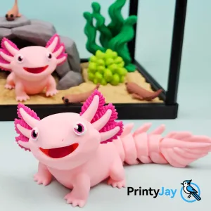 Mexican Axolotl
