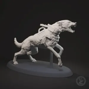 Aggressive dog