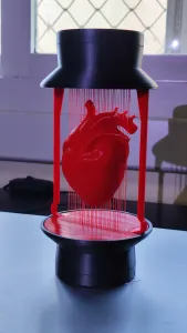 The Human Heart - String Lamp