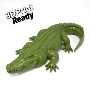 Crocodile