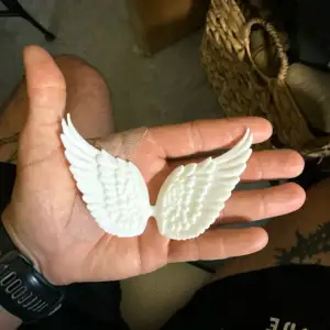 Curved wings