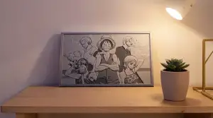 one piece tela Creal