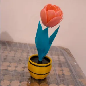 Tulip