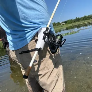 fishing rod holster