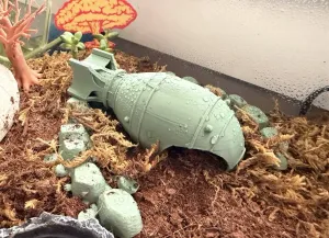 Creature Shelter - Bomb