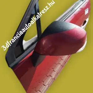 Renault Scenic 3 tükörfedél 963730016R