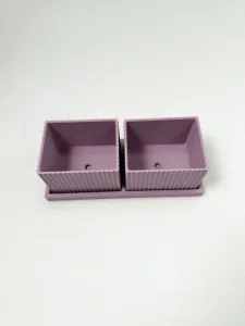 Double Window Planter