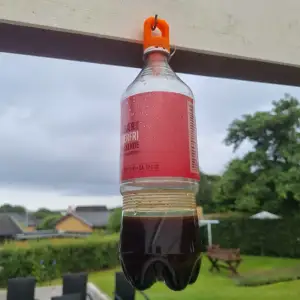 Wasp Trap For Bottles