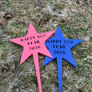 Happy New Year 2026, a magical photo shoot