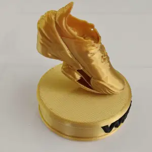 Runner’s Shoe Trophy “WINNER!!!”
