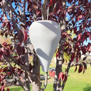 Wasp Nest V2.1