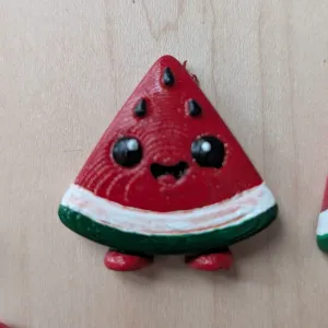 Watermelon magnet