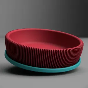 Bowl with tray