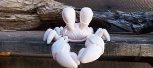 crab