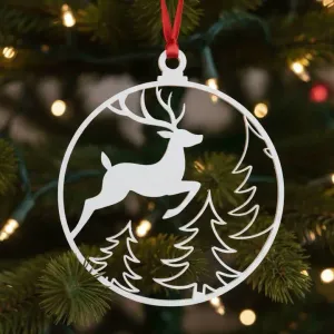 Christmas Ornaments #5