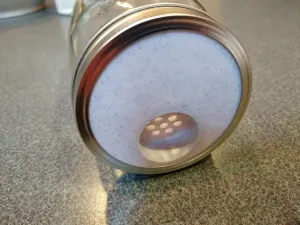 Mason Jar Multi-Mouse Trap