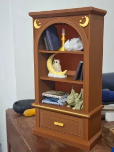 Fantasy Bookcase with miniatures