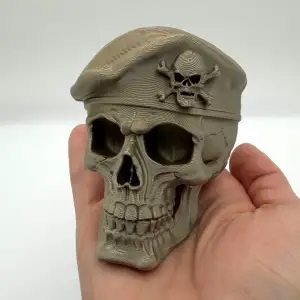Skeletal Skull