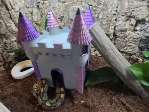 Cute Terrarium Castle – A Versatile Hideaway for Your Pets!