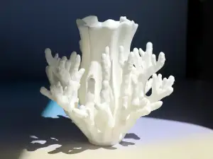 Coral Vase