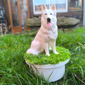 chien berger suisse figurine