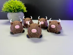 Cute Highland Cow