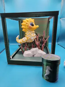 flexi seahorse toy and aquarium light box bundle