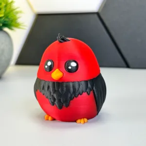 Cute Bird
