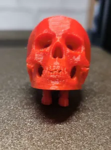 Neil E. Skull