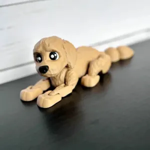 Лабрадор рухомий