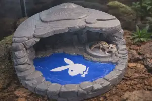 Playboy Grotto pet spa hide for pets with pool and food dish