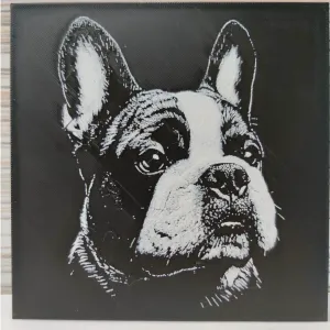 Hueforge Bulldog