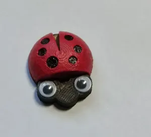 LADYBUG BROOCH
