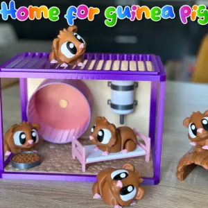 Guinea pigs world
