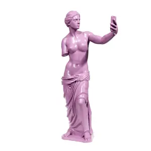 Venus selfie