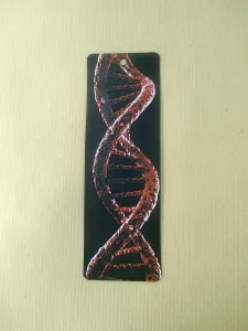 Bookmark DNA