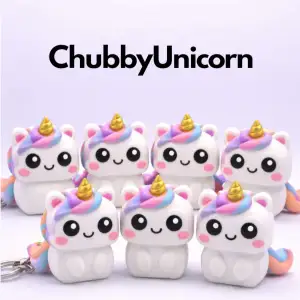 CHUBBYUNICORN