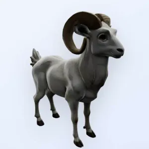 Mountain Goat