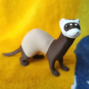 Ferret