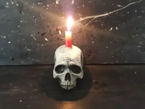 Real Human Skull - MKSKULLS - Calavera