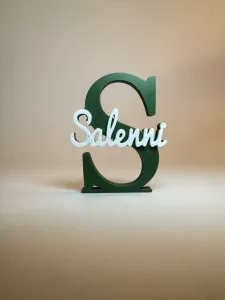 Placa de Nome 3D - Salenni
