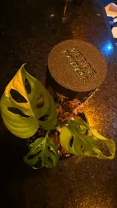 Vaso com base tutor, para plantas epífitas