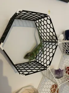 Hexa shelf block