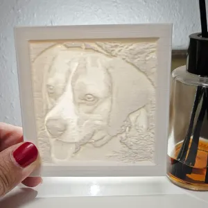 Litofania perro